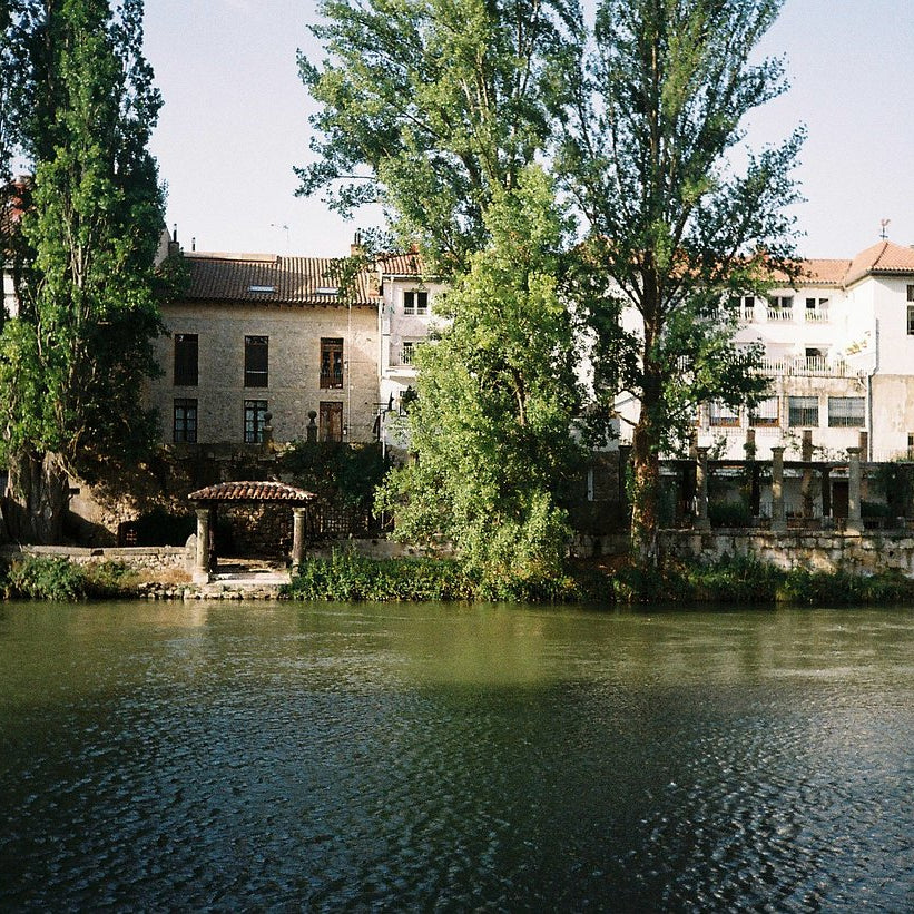 Sample photo taken with the Canon Autoboy Lite 2 35mm film camera.