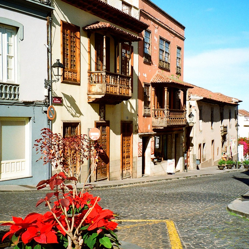 Sample photo taken with the Canon Prima Super 130 Caption 35mm film camera.