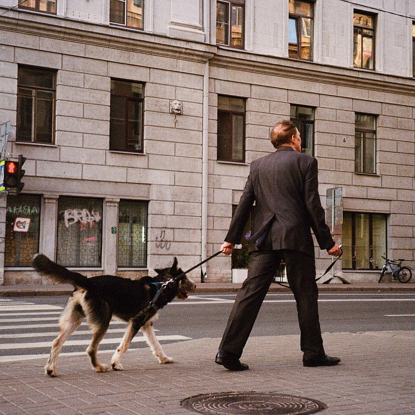 Sample photo taken with the Kyocera Yashica EZ Zoom 105 35mm film camera.