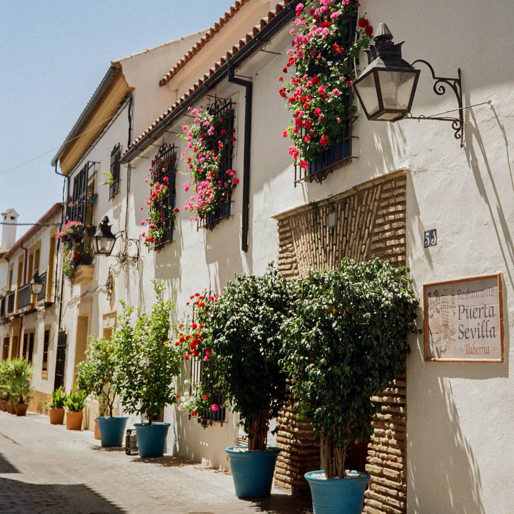 Street scene with white buildings, hanging flowers, and potted plants in a Mediterranean-style town.